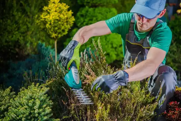 landscaping services Elizabethtown